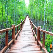 Tranh dán tường Hàn Quốc 3d khổ lớn tại Hà Nội NA - 188